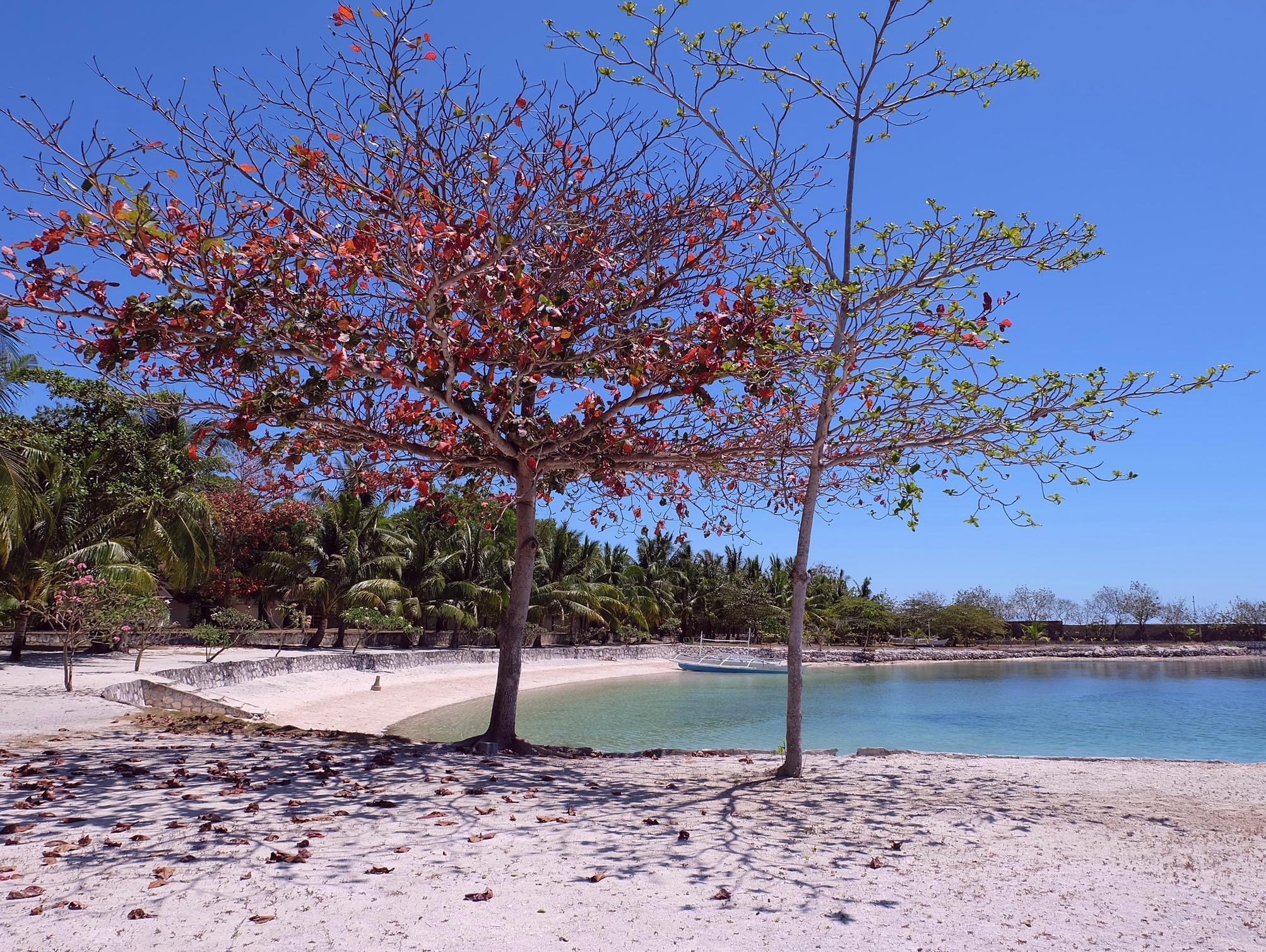 Cordova Reef Village Resort Lapu-Lapu City Esterno foto
